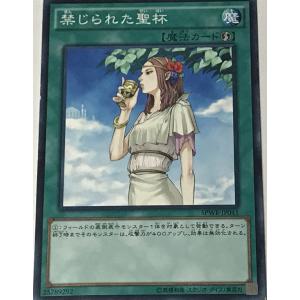遊戯王オフィシャルカードゲーム デュエルモンスターズ DBCB-JP028 闇