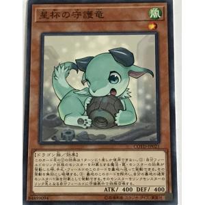 遊戯王 ノーマル 効果モンスター 1枚 星杯の守護竜 COTD