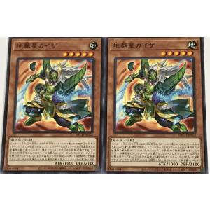 遊戯王 ノーマル 効果モンスター 2枚セット 地葬星カイザ BACH
