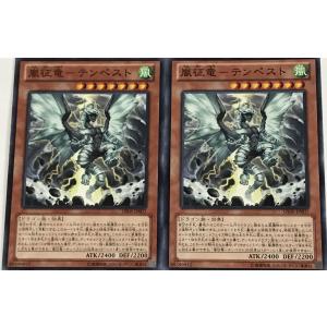 遊戯王 ノーマル 効果モンスター 2枚セット 嵐征竜-テンペスト GS06