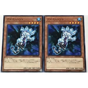 遊戯王 ノーマル 効果モンスター 2枚セット アイス・ハンド SD34