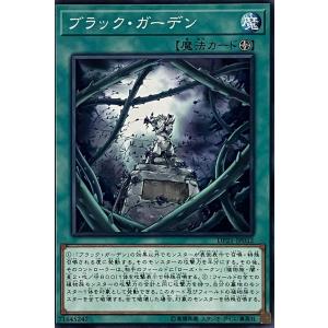 遊戯王オフィシャルカードゲーム デュエルモンスターズ 遊戯王カード