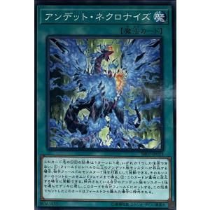 遊戯王 本格構築【ワイトデッキ】メイン&EX15&スリーブ : 自遊堂