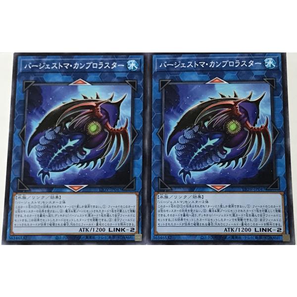 遊戯王 ノーマル リンク 2枚セット バージェストマ・カンブロラスター LIOV