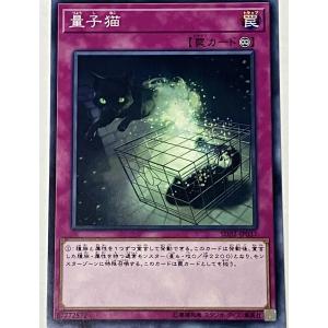 遊戯王 ノーマル 罠 1枚 量子猫 SD32