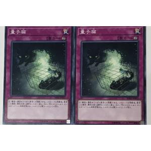 遊戯王 ノーマル 罠 2枚セット 量子猫 SD32