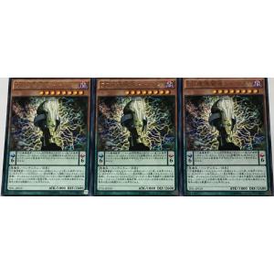 遊戯王 レア 効果モンスター 3枚セット DD魔導賢者トーマス TDIL