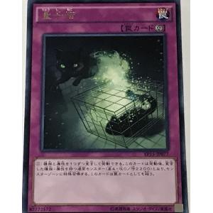 遊戯王 レア 罠 1枚 量子猫 EP15