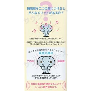 (両耳用補聴器) NIKON ニコン デジタル...の詳細画像5