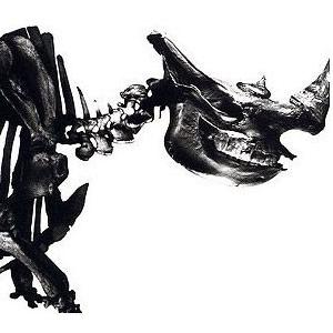 Mr.Children(ミスターチルドレン)/Mr.Children 1996-2000[CD] TFCC-88181｜soundace