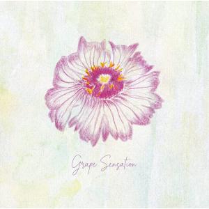 ポニーキャニオン（PONY CANYON） 工藤静香 Love Paradox (CD) PCCA