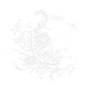 【先着特典(B2告知ポスター)付き】 Aimer エメ／白色蜉蝣 (通常盤) (CD) VVCL-2...