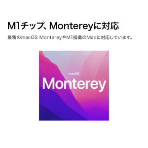 Toast 20 Pro カード版 Mac用 ...の詳細画像3