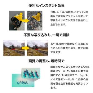 PaintShop Pro 2023 Ulti...の詳細画像4
