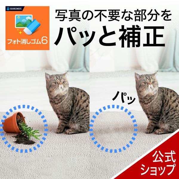 フォト消しゴム 6 最新   DL_SNR　写真修正ソフト 写真 修正 AI 簡単 消しゴム マジッ...