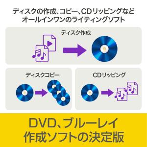 Bs Recorder GOLD 爆買の詳細画像4