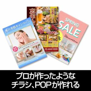 チラシのプロ チラシ・POP作成ソフト Win...の詳細画像2