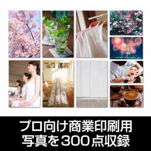 チラシのプロ チラシ・POP作成ソフト Win...の詳細画像5