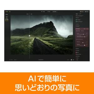 Luminar Neo AI機能追加版 カード...の詳細画像3