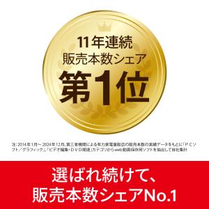 B’s 動画レコーダー カード版 Window...の詳細画像3