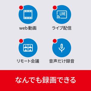 B’s 動画レコーダー カード版 Window...の詳細画像4
