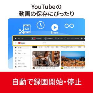 B’s 動画レコーダー カード版 Window...の詳細画像5