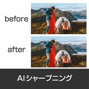 MAGIX Photostory 2025 D...の詳細画像5