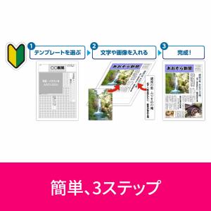 パーソナル編集長 (最新) DL_SNR[Wi...の詳細画像1