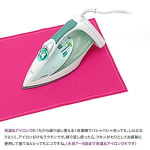 ナプキン ランチョンマット ティマット プレカ...の詳細画像3
