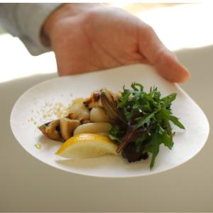 おしゃれ パーティ 紙皿 WASARA【ワサラ】 丸皿 中 Mサイズ 6枚入り  取り皿 ケーキ皿 使い捨て ホームパーティ カフェ風 プレート BBQ アウトドア 中皿 大皿