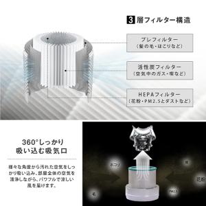 タワーファン 温風 冷風 冷暖タワーファン 夏...の詳細画像5