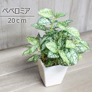 人工観葉植物　ミニポットペペロミア 20cm
