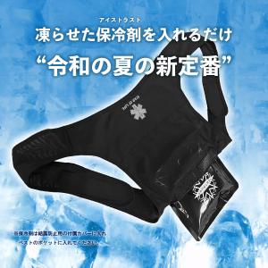 保冷ベスト アイスベスト ICETRUST ア...の詳細画像1