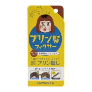 アイケイ プリン髪フィクサー ナチュラルブラウン 9g