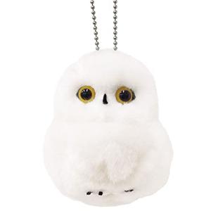 ホワイトフクロウK/C