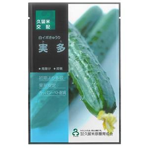 きゅうりの病気予防 種 種子 の商品一覧 花 ガーデニング 通販 Yahoo ショッピング