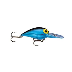 再再販 Rapala ラパラ クランクベイト シャッドラップ 4cm 4g ブルーギル Bg Sr4 Bg ルアー その他ハードルアー Www We Job Com
