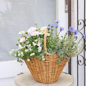 季節の花 寄せ植え おまかせ マウント バスケ...の詳細画像2