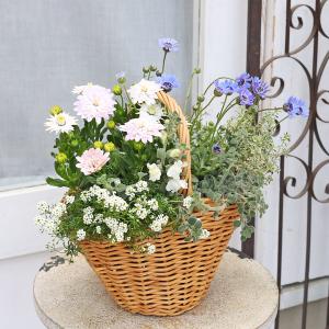 季節の花 寄せ植え おまかせ マウント バスケ...の詳細画像3