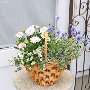 季節の花 寄せ植え おまかせ マウント バスケ...の詳細画像4