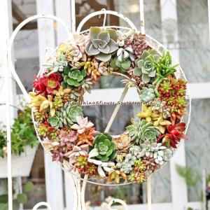 多肉植物寄せ植え おしゃれ ギャザリングリース30cm 開店祝い 誕生日祝い プレゼント