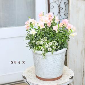 ガーデニング雑貨 陶器鉢 ウィリアムモリス パ...の詳細画像2
