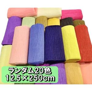 手芸 用 クレープペーパー クレープ紙 20色セット