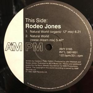 Rodeo Jones / Natural World (Kevin Saunderson Remixes)｜southhorserecord