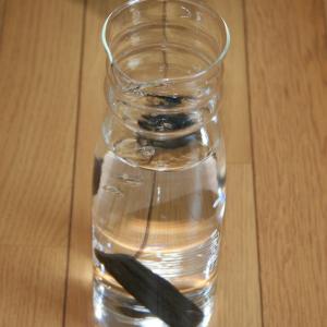 炭 備長炭 水 消臭 除湿 浄水 浄化 国産 ...の詳細画像3