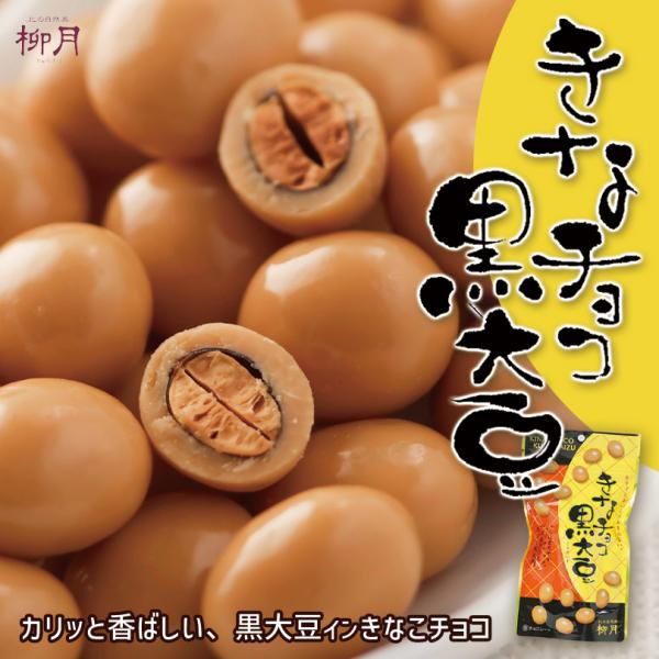 きなチョコ黒大豆 70g 柳月 北海道 お土産 きな粉 チョコ 和菓子 洋菓子 スイーツ ギフト プ...