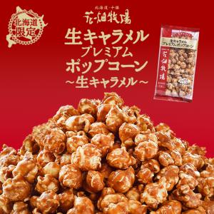 花畑牧場 ポップコーン 2種セット 生キャラメル・夕張メロン 各1個