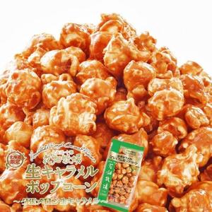 花畑牧場 プレミアムポップコーン 夕張メロン 90g 北海道 お土産