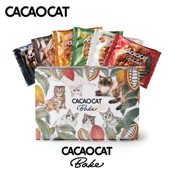 CACAOCAT Bake ミックス 6個入×3個 DADACA 北海道 お土産 チョコ クッキー ...