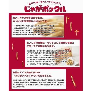 カルビー じゃがポックル 10袋入×1ケース1...の詳細画像1
